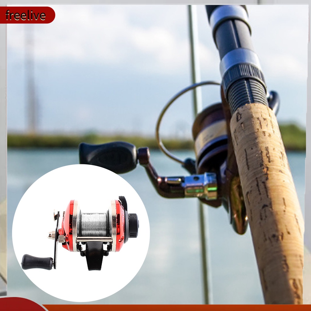 Máy câu cá có dây câu chất lượng