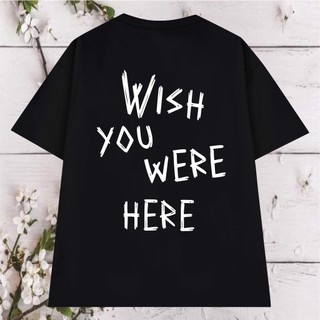 Áo thun unisex nam nữ form rộng wish you were here