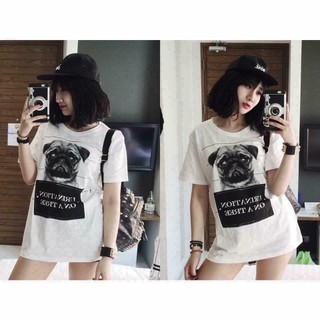 ÁO THUN NAM NỮ HÌNH CHÓ PUG BIG SIZE