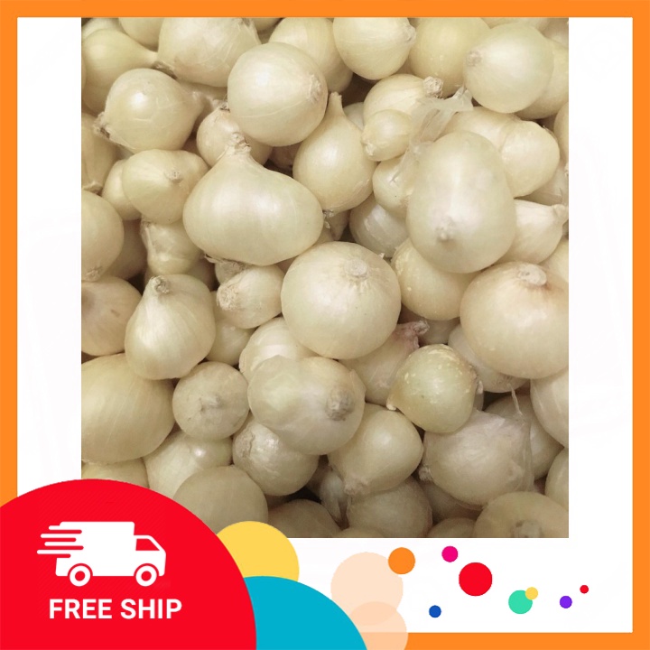 Củ nén  Miền Trung Loại 1 - 500g