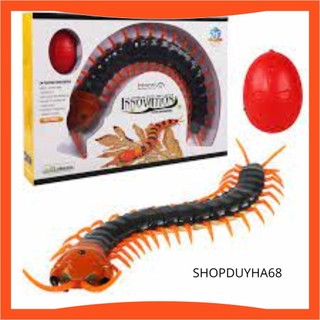 Đồ chơi con rết điều khiển từ xa hù dọa người khác