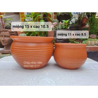 Chậu đất nung - chậu hủ sọc ngang