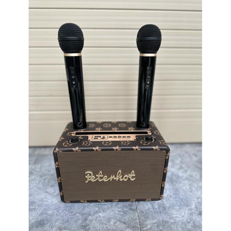 ☘️Loa karaoke Petenhot ( made in U.S.A)