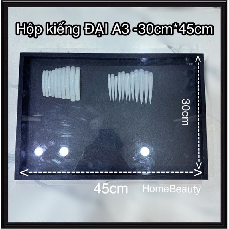 Hộp kiếng trưng mẫu vẽ móng tay nail size LỚN