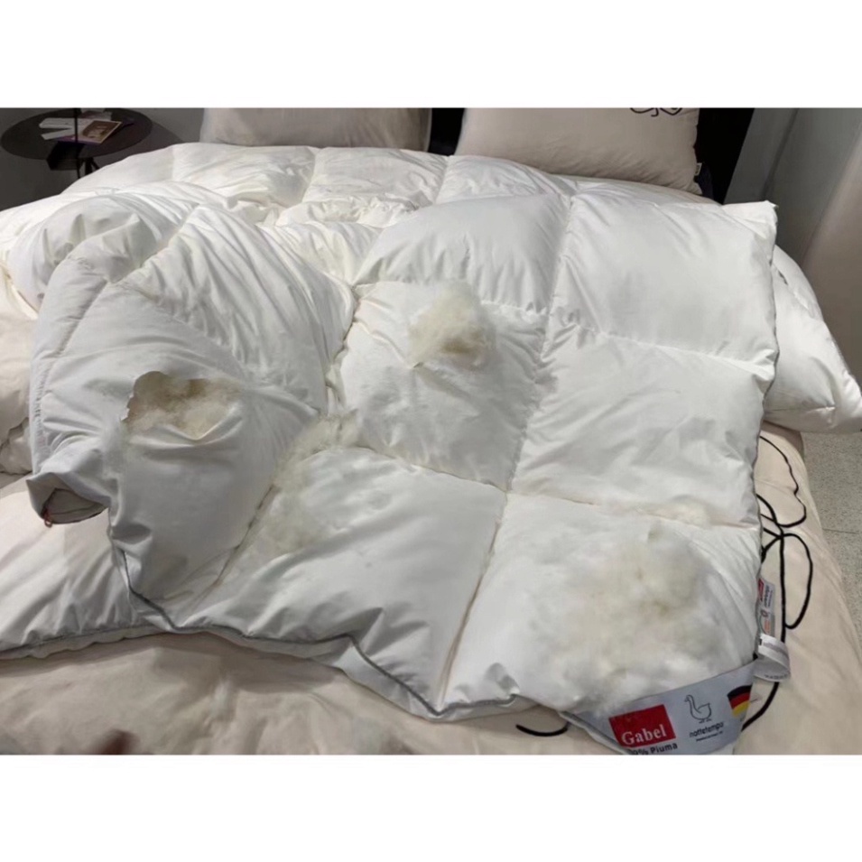 Ruột Chăn Lông Vũ Cao Cấp Gabel Premium Goose Down Quilt  . .