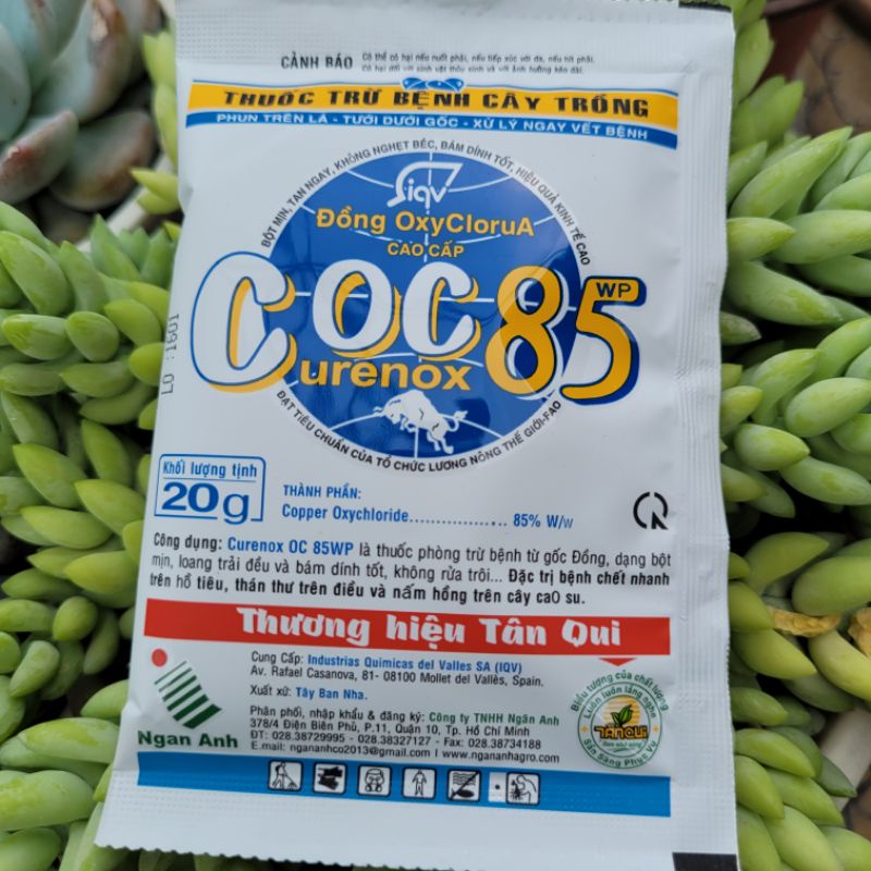 Phòng n.ấm Coc 85