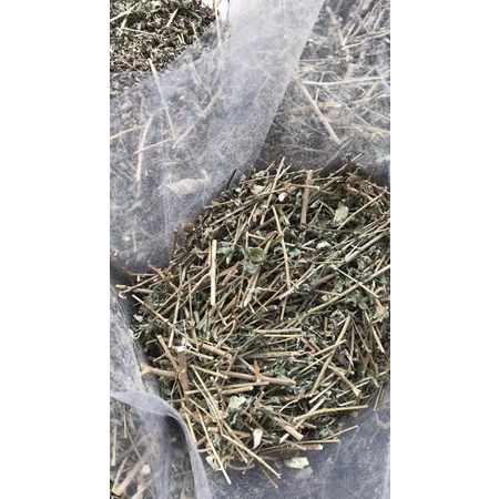 Cà gai leo, cà gai leo khô Hòa Bình🌸Mát gan