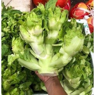 Hạt Giống Cải Mầm Đá (hàng chuẩn cty)