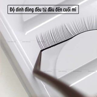 Mi giả tập nối mi 5 cặp / set