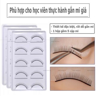 Mi giả tập nối mi 5 cặp / set