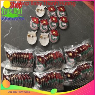 Huy hiệu đoàn việt nam
