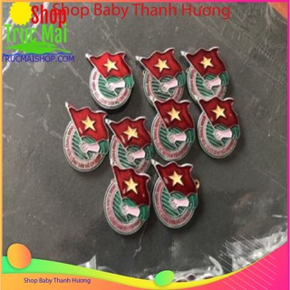 Huy Hiệu Đoàn Việt Nam