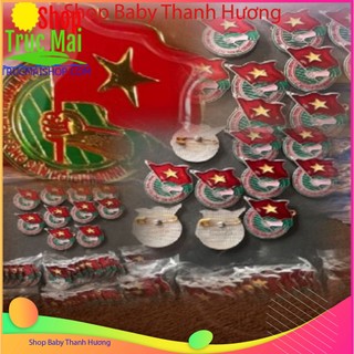 Huy Hiệu Đoàn Việt Nam