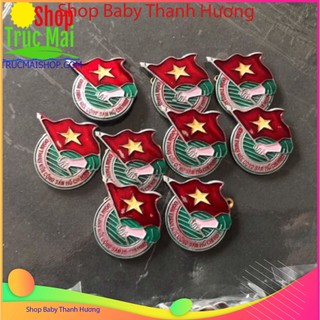 Huy Hiệu Đoàn Việt Nam
