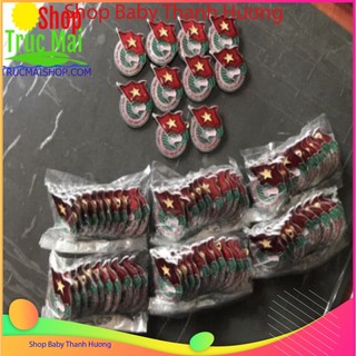 Huy Hiệu Đoàn Việt Nam