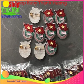 Huy Hiệu Đoàn Việt Nam