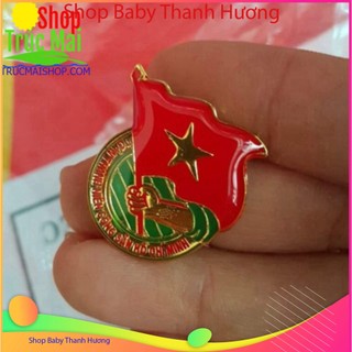 Huy Hiệu Đoàn Việt Nam