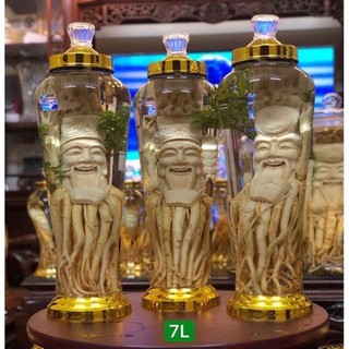 Bình sâm ngâm rượu 3l 4l 6l
