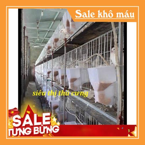 Z9 LỒNG NUÔI CHIM BỒ CÂU-LỒNG MẠ KẼM-CHUỒNG BỒ CÂU-PHỤ KIỆN NUÔI CHIM CẢNH