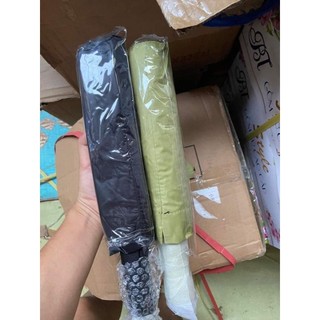 Ô xuất Nhật