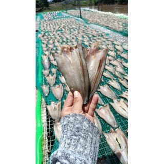 khô lóc cửng xẻ (500g) vị mặn không đường