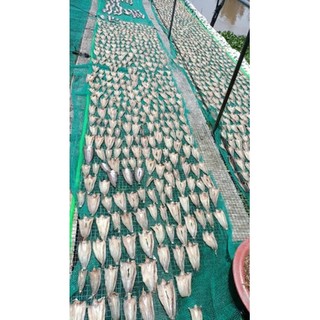 khô lóc cửng xẻ (500g) vị mặn không đường