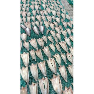 khô lóc cửng xẻ (500g) vị mặn không đường