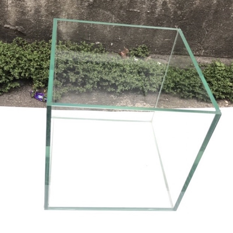 Hồ Cá D22 R22 C22 Bể cá để bàn , Hồ cubic kèm đá trang trí và cây trang trí