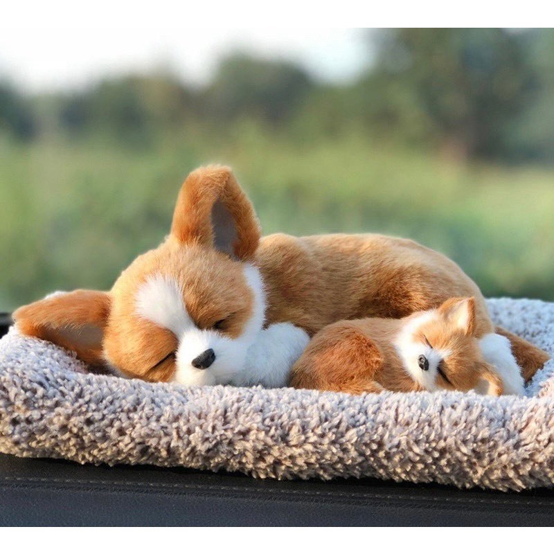 Size to-Cún đôi vàng trắng-chó mèo than hoạt tính trang trí xe oto,để bàn làm việc