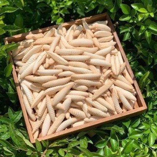 1kg bánh men sữa hình con sâu con sùng