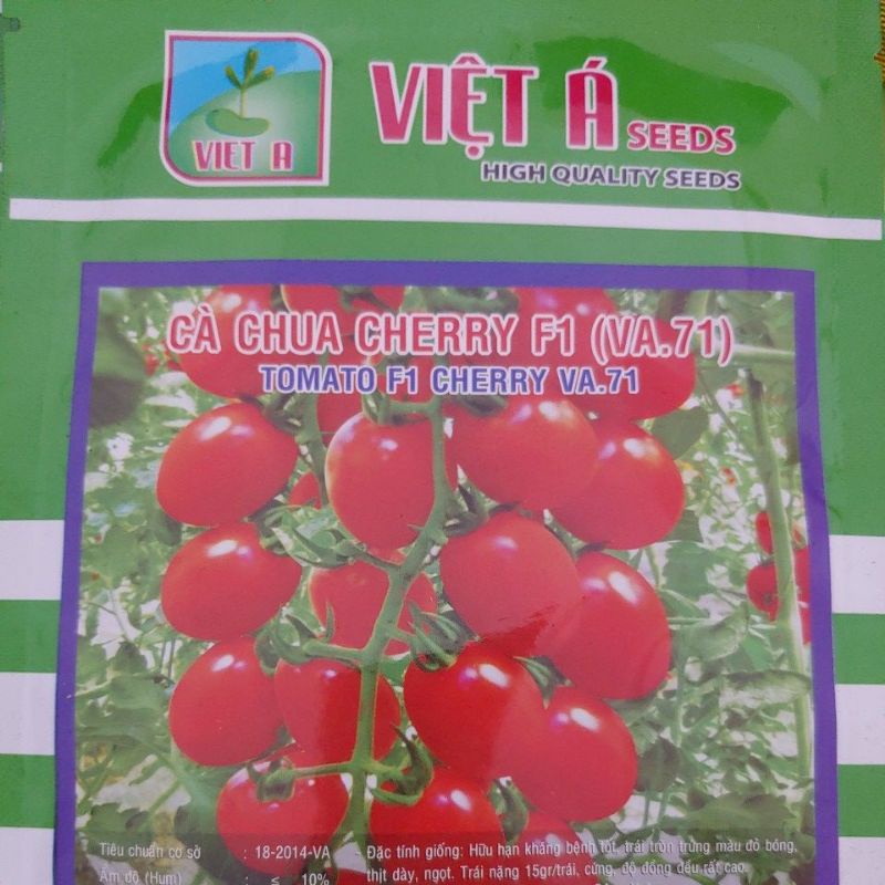 (Mã NSF02P125 giảm 25K) CÀ CHUA cherry- Hạt giống