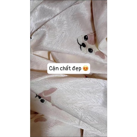 Bộ Pijama dài tay