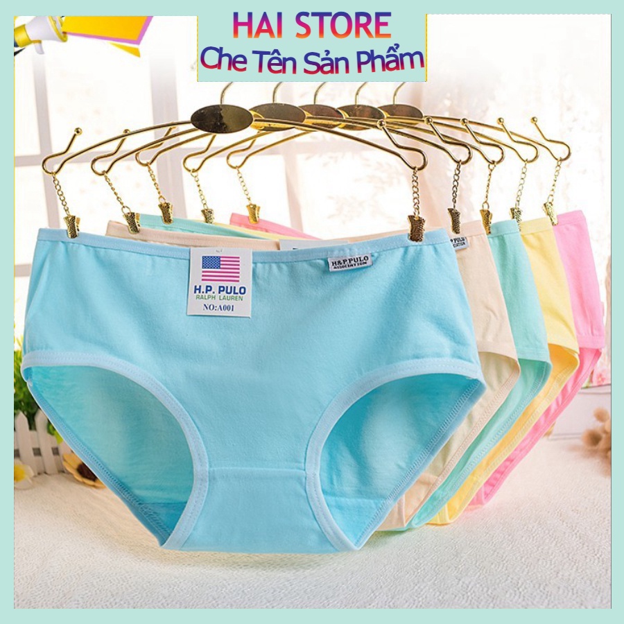 Quần lót cotton H&P PULO cao cấp xuất Mỹ cho nữ Kazila ( 38- 68kg )
