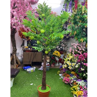 Cây giả cây na giả cao 1m6 decor trang trí nhà cửa, sân vườn siêu đẹp