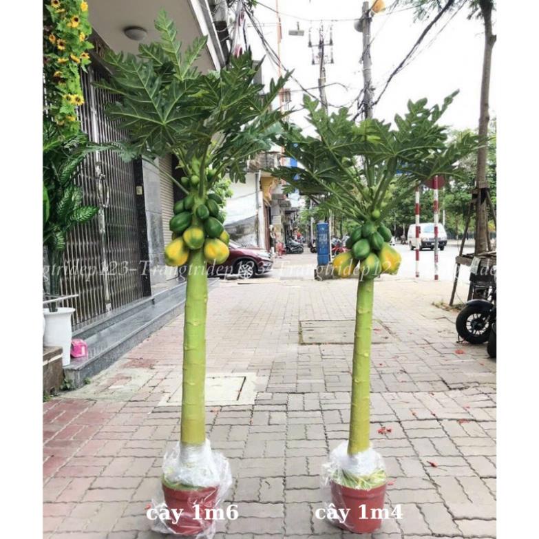 Cây đu đủ giả cây giả nhiều hoa quả nụ trang trí decor nhà cửa bền đẹp (Hà Nội ship trong ngày)