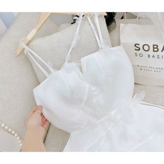 Đầm tafta 2 dây