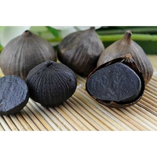 TỎI ĐEN CÔ ĐƠN TÂY BẮC