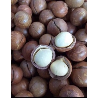HẠT MAC CA (hủ pet 400g)