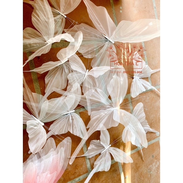 Bướm decor cánh đơn - Trắng