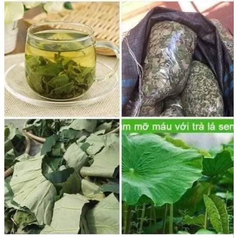 Lá sen khô, giảm mỡ máu, giảm cân, an thần dễ ngủ