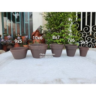 Chậu đất nung - chậu ly mini đủ size