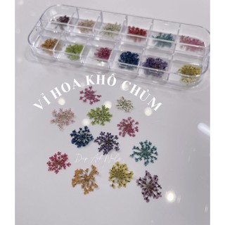 Set hoa khô
