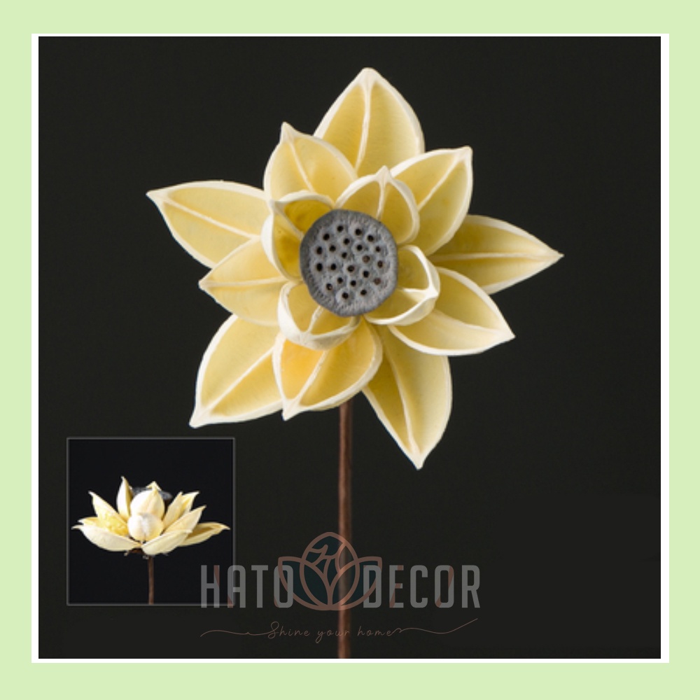 Combo Hoa sen gỗ khô decor trang trí