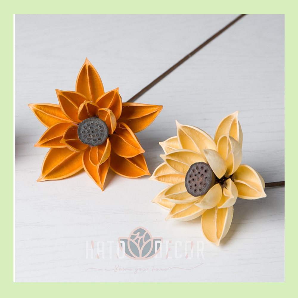 Combo Hoa sen gỗ khô decor trang trí