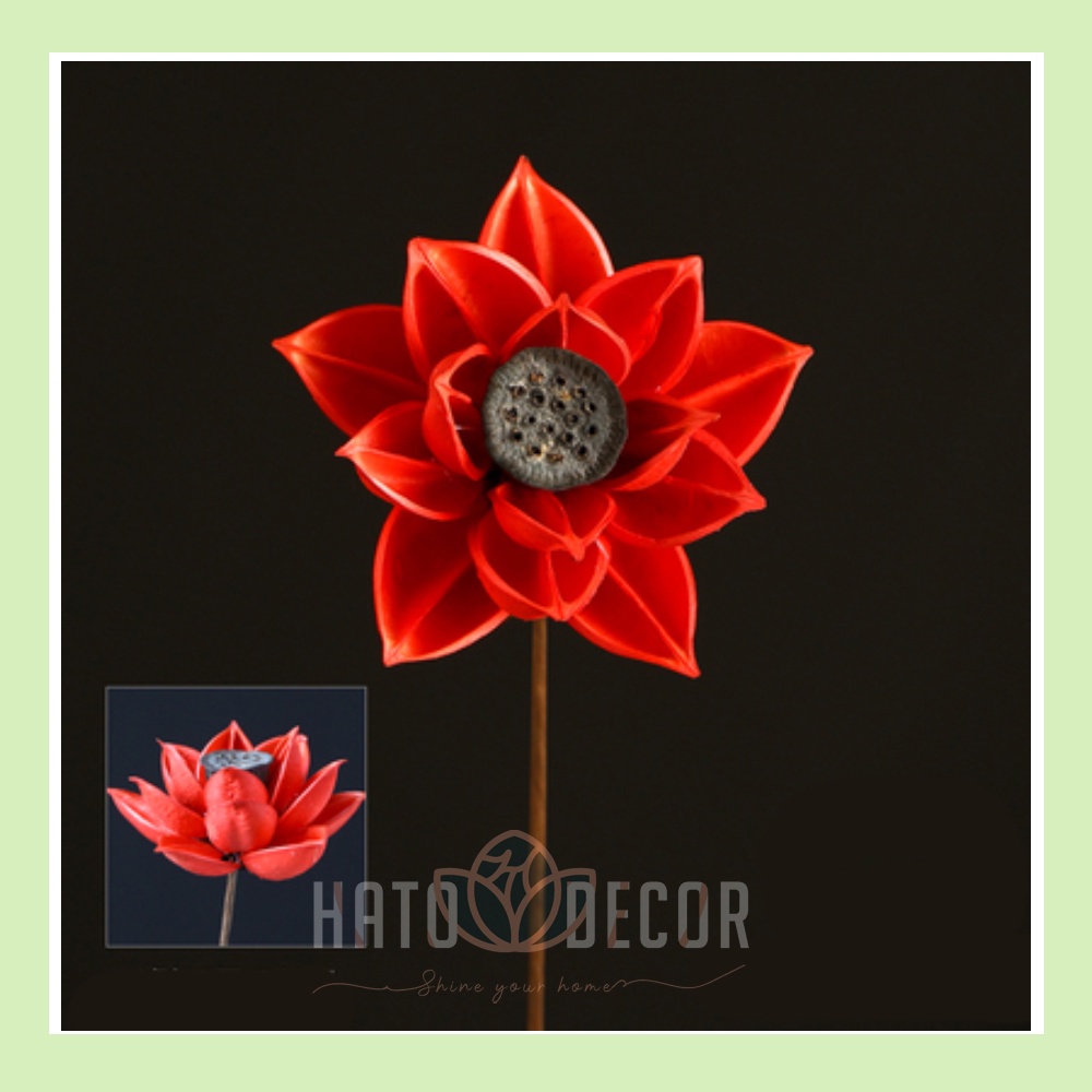 Combo Hoa sen gỗ khô decor trang trí