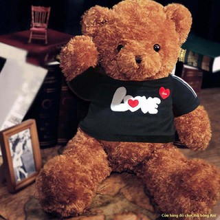 🌈🌈Teddy Bear Doll Doll Plush Teddy Bear Panda Doll Gối Cô gái