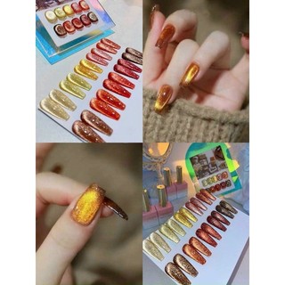 Sét sơn gel mắt mèo 10 màu kèm bảng M01