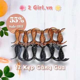 Kẹp tóc càng cua hk7