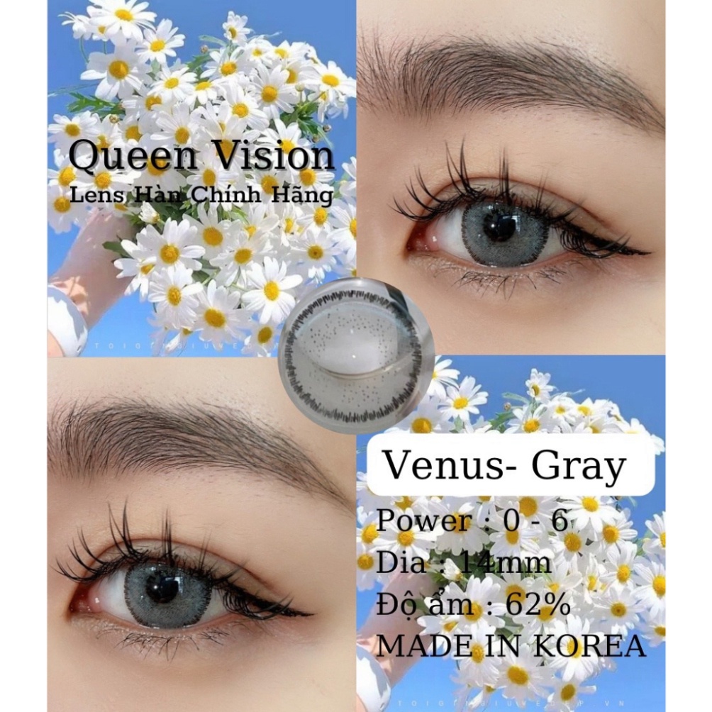 Queen Vision ( FULL 0 - 6 độ ) Lens mắt màu Venus Gray xám hoa tiết vân tây  (dòng lens sử dụng 12 tháng)