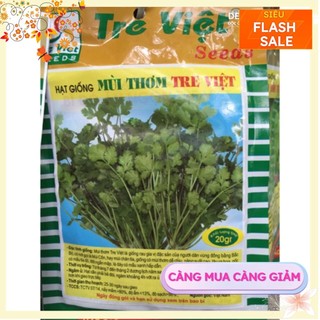 Hạt giống rau mùi thơm,rau ngò chất lượng